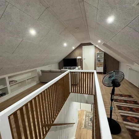 The Wild Swan - Big House With Many Beds In Odense - Free Parking Apartment Exterior photo