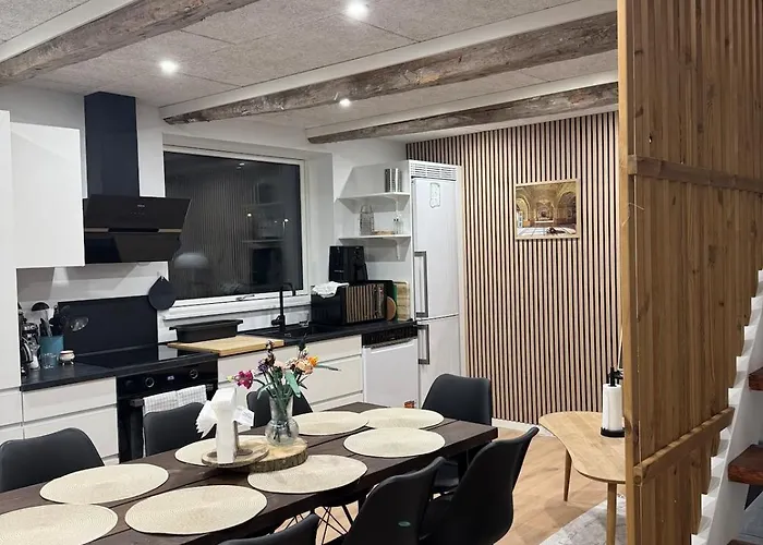 The Wild Swan - Big House With Many Beds In Odense - Free Parking